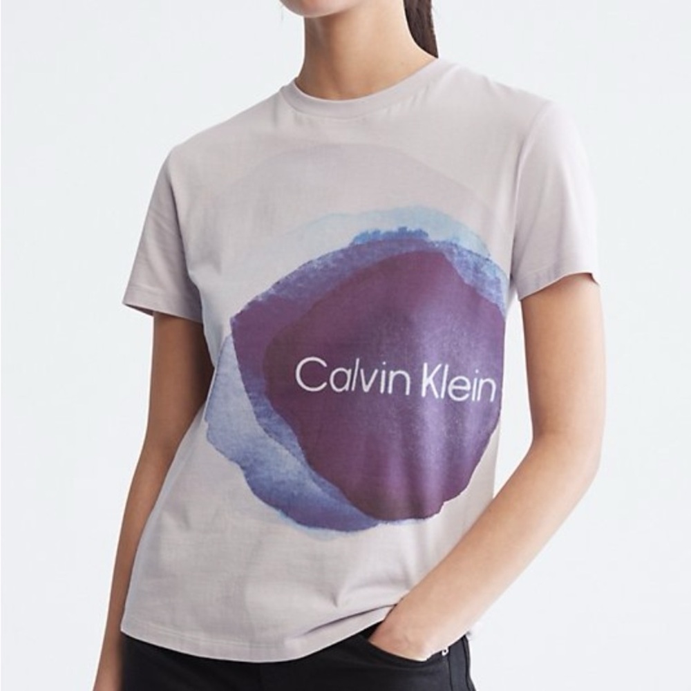 Calvin Klein Gray and Purple Graphic T-Shirt